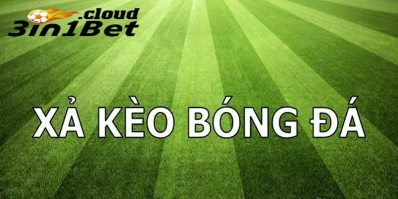 Xả Kèo Là Gì – Bí Quyết Thoát Kèo Đúng Lúc Để Giảm Rủi Ro 3 Khi nào nên xả kèo là gì để tối ưu lợi nhuận
